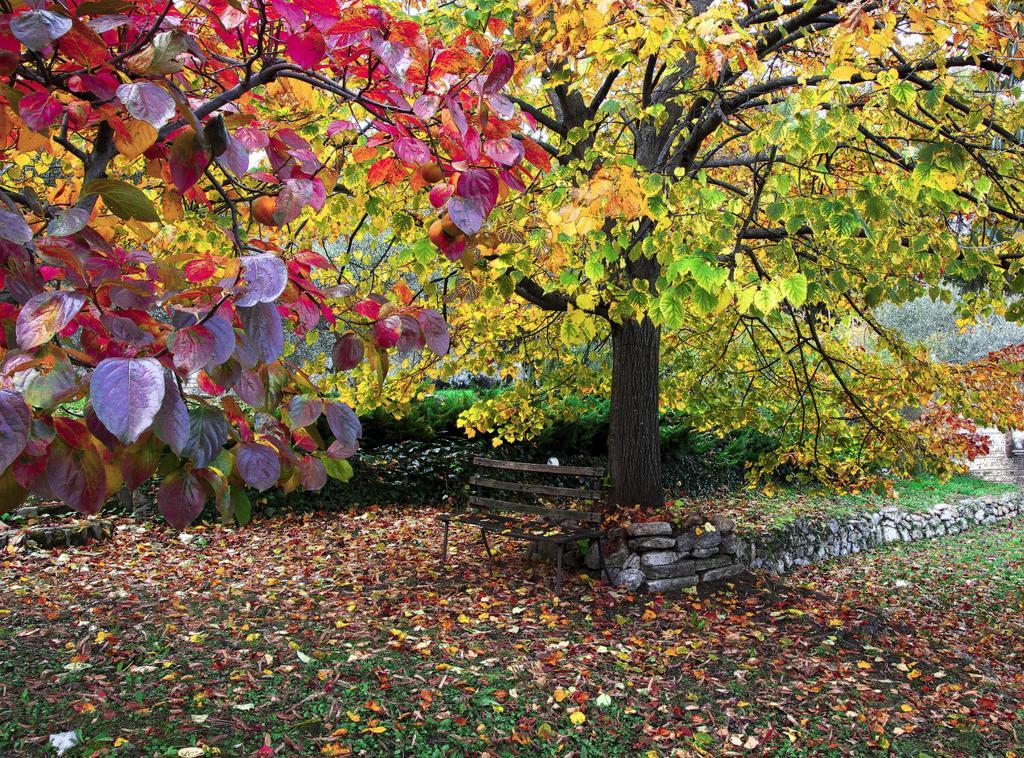 Locanda Cinciarella Bed & Breakfast Pannarano Dış mekan fotoğraf